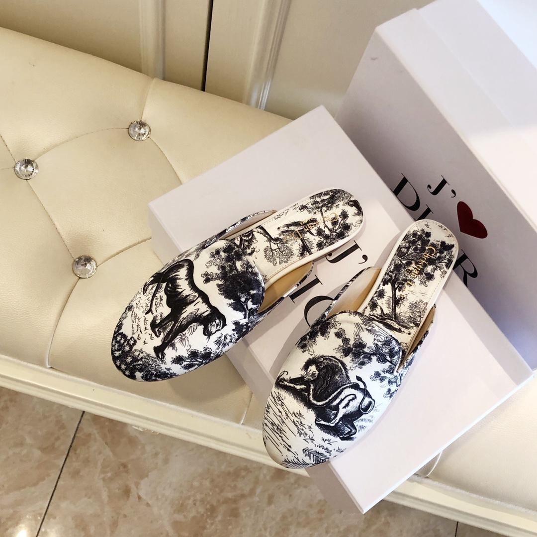 dior mule